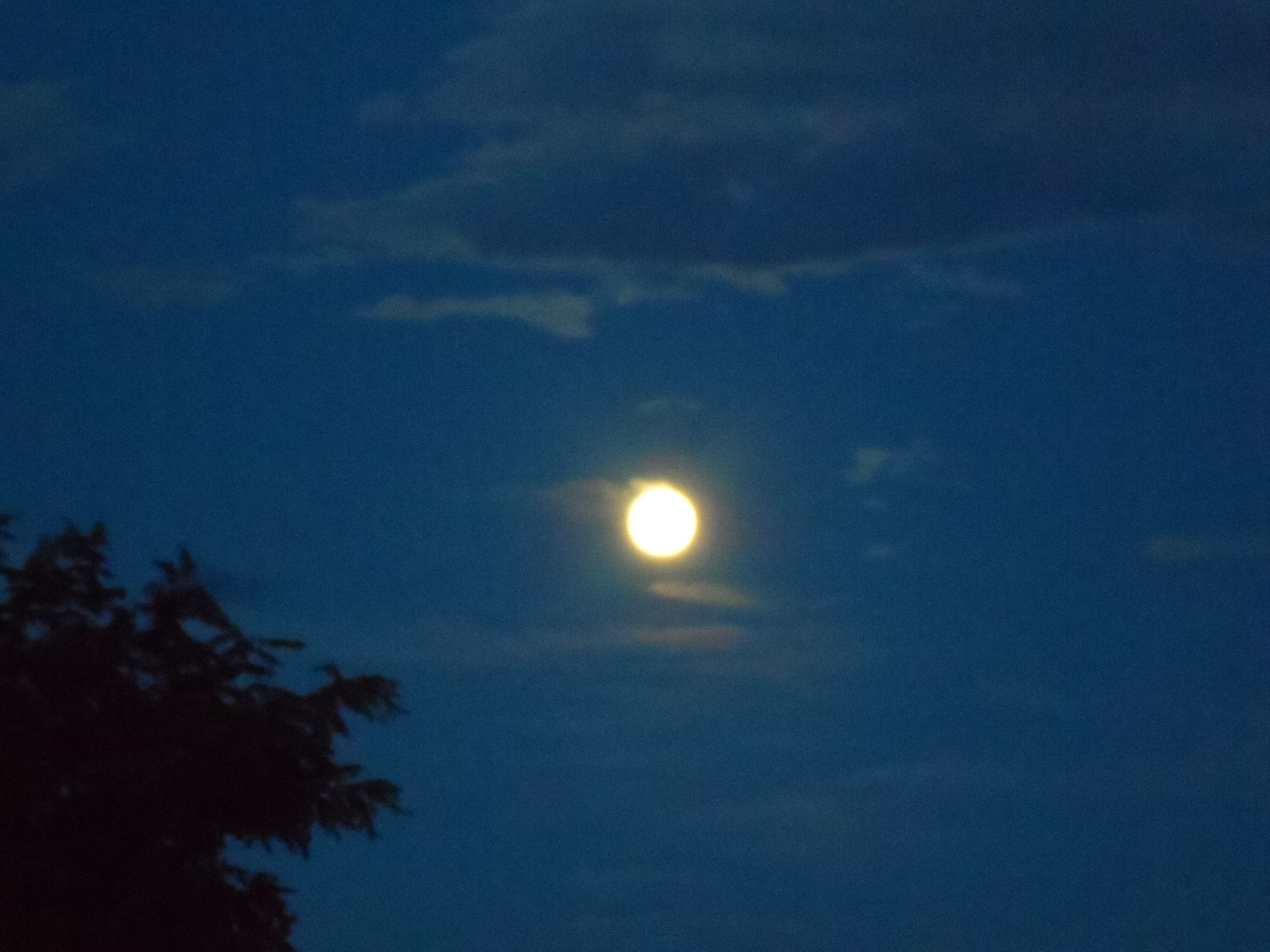 The Night Sky