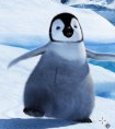 Tux