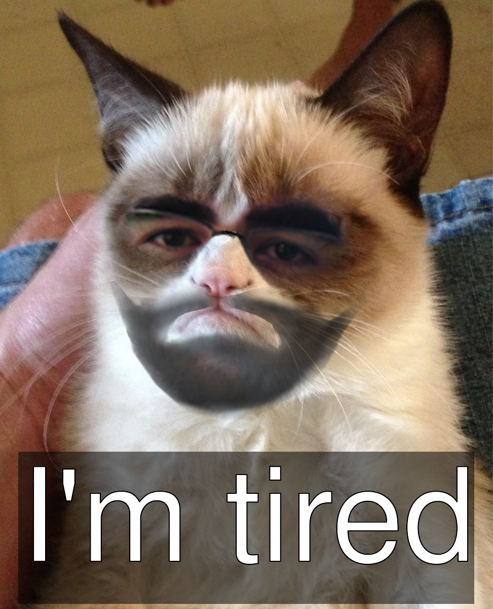 _meme_1410027124017.png