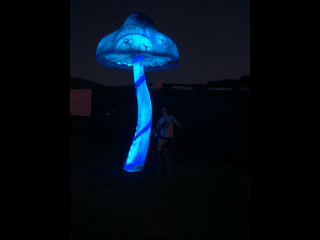 Jazzy-gif.gif