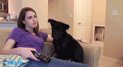 60848872.gif