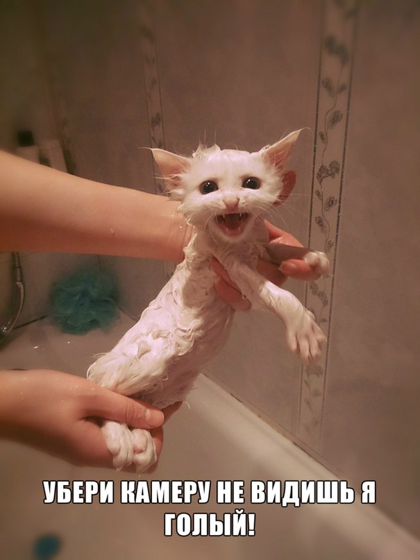 bfCbzwAzCEk.jpg