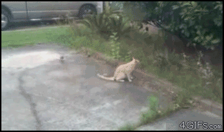 1411706105107.gif