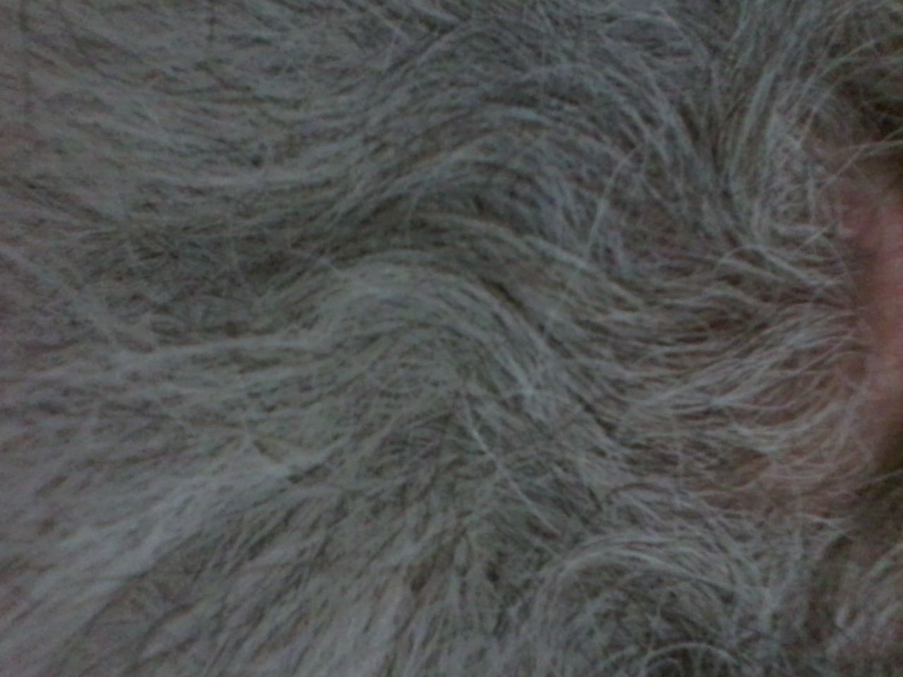 20140928_163959.jpg