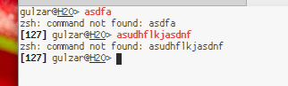 zsh.png