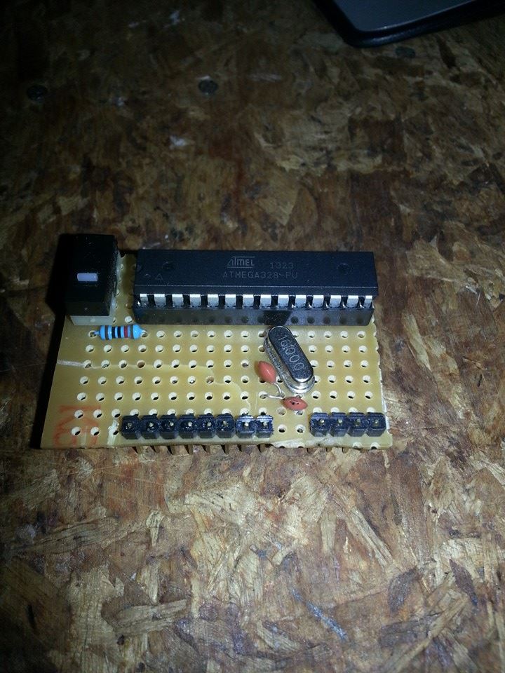10339711_10202431600764966_4958772873761316104_n.jpg