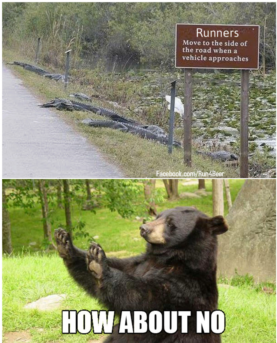 howaboutnocrocodiles.jpg
