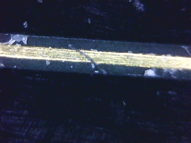6mil-trace-00.jpg