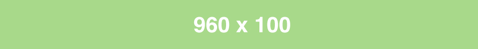 960x100