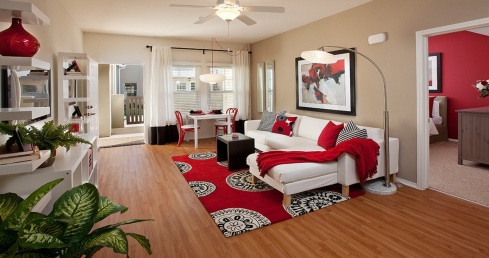 apartment-color-theme-unifies.jpg