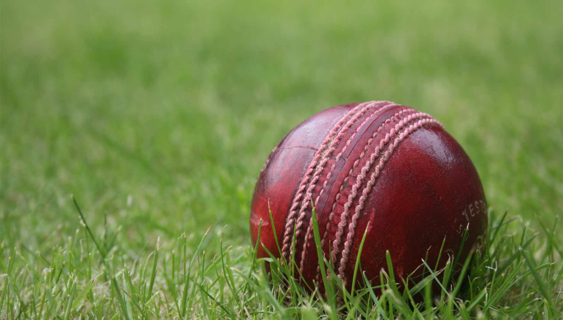 Cricket livescore
