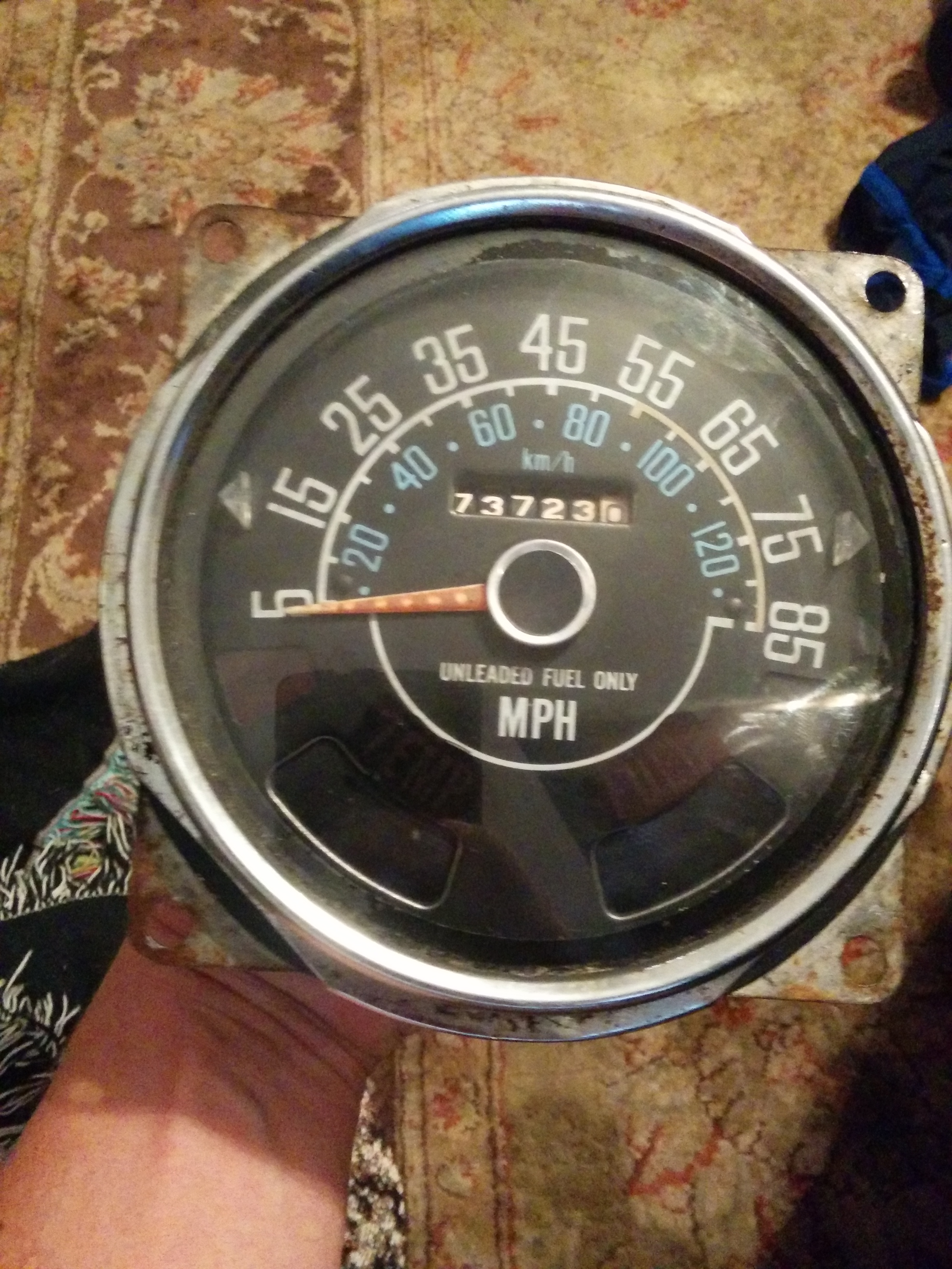 speedo front