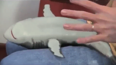 Sharks_-_Fauxpics_-_21.gif