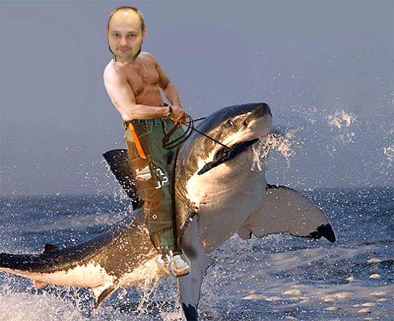 rad-Shark.jpg