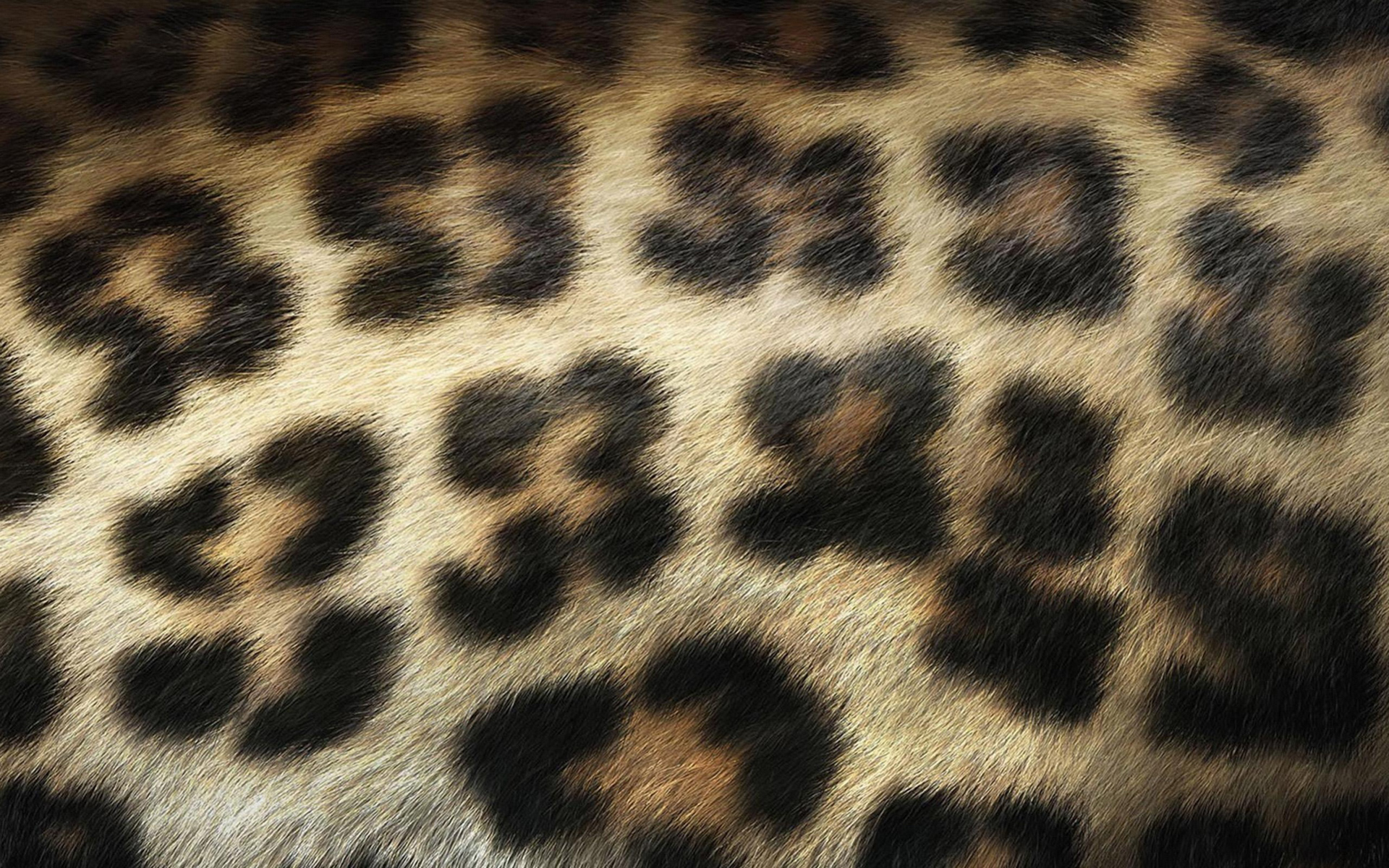 sv