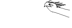 output_WxWe5S.gif