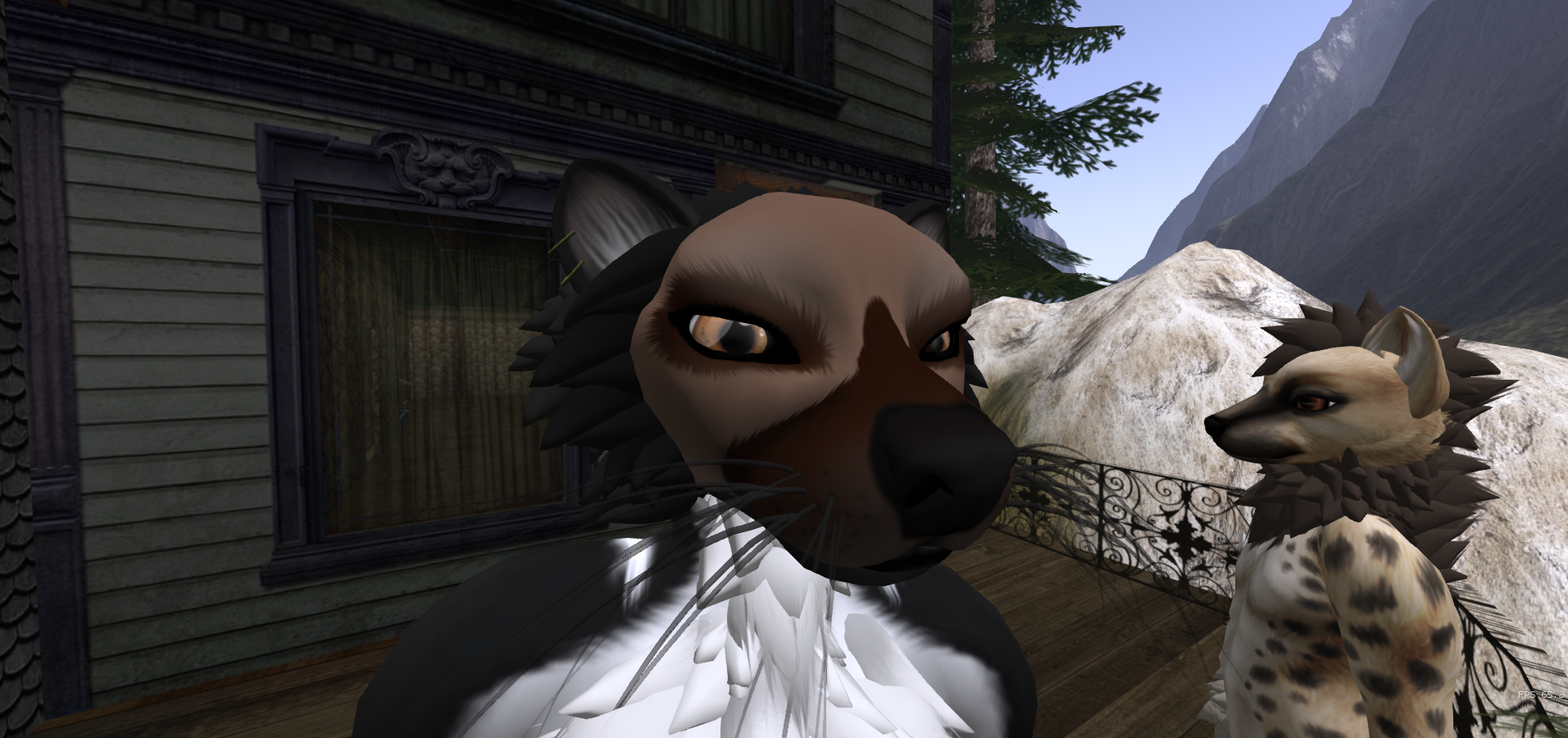 Snapshot_001.png