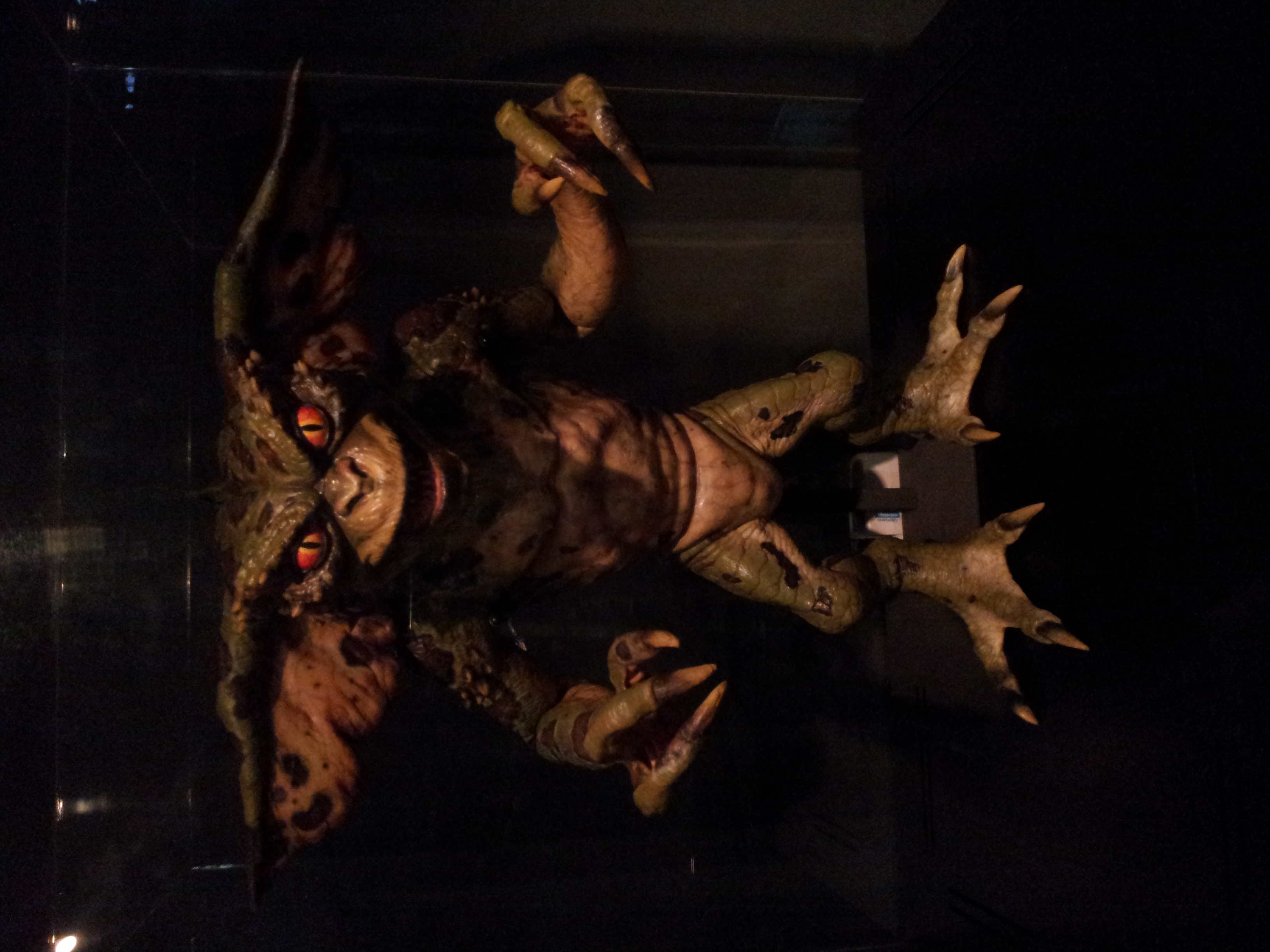 20141223_142645.jpg