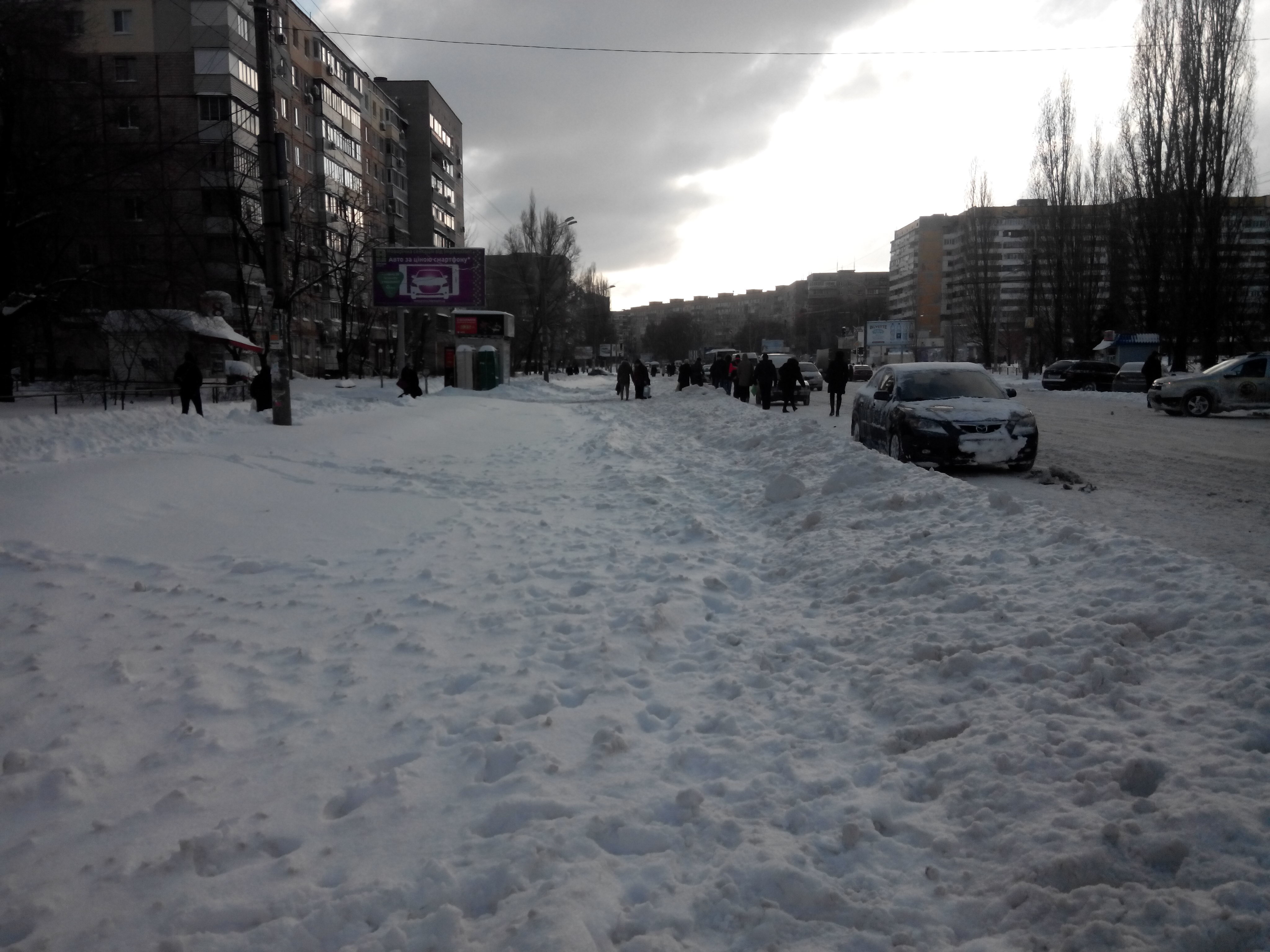 Winter