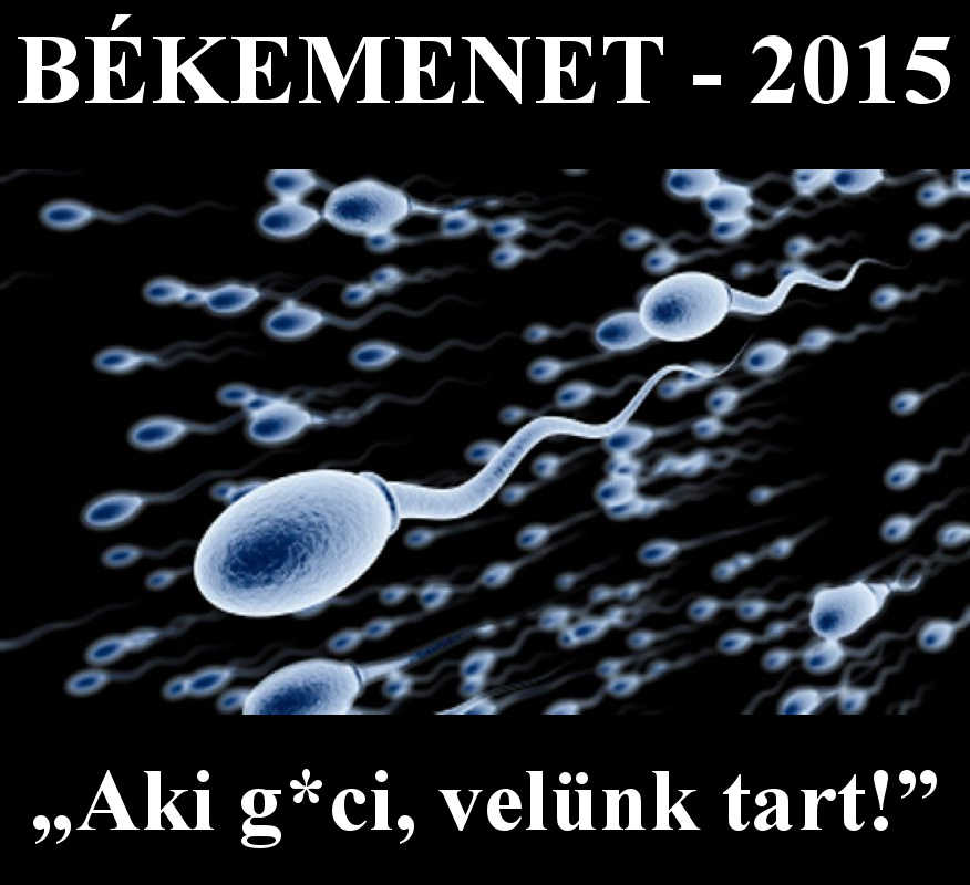 Békemenet - 2015