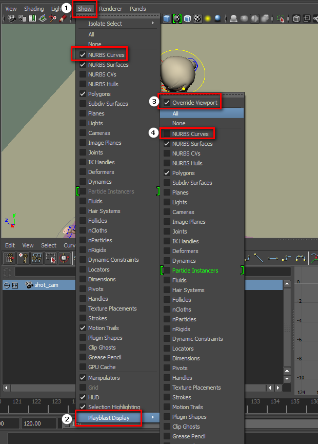 Hide nurbs curves in playblasts