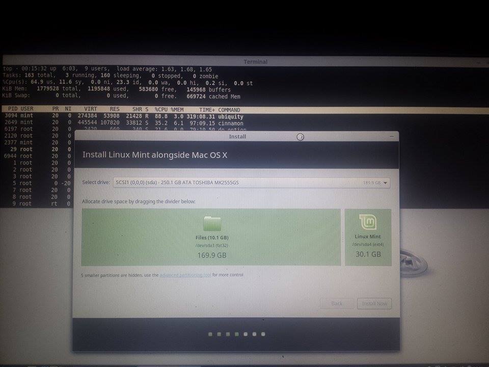 Linux Mint Cinnamon Installation Stuck