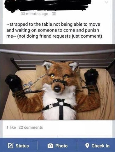 Furry_torture_post.jpg