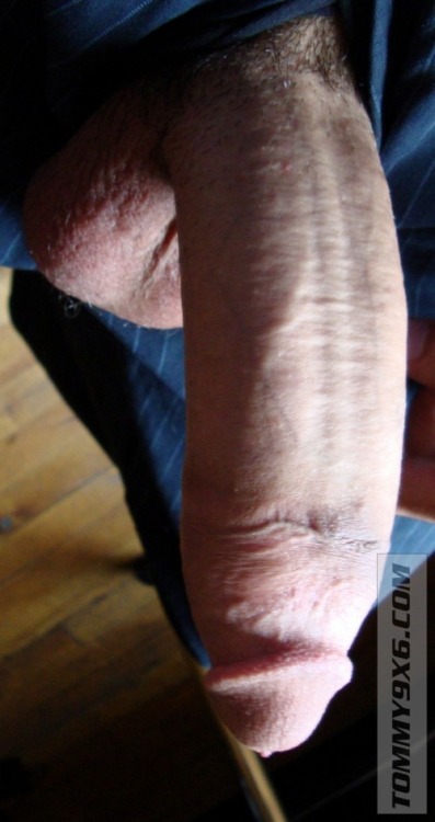 tumblr_mv624iDAxM1s3c5cdo1_500.jpg