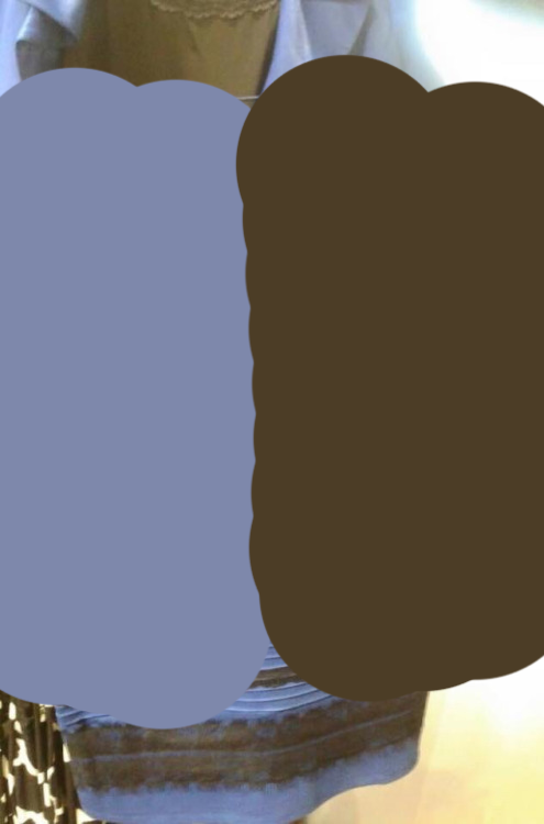Untitled-1.png