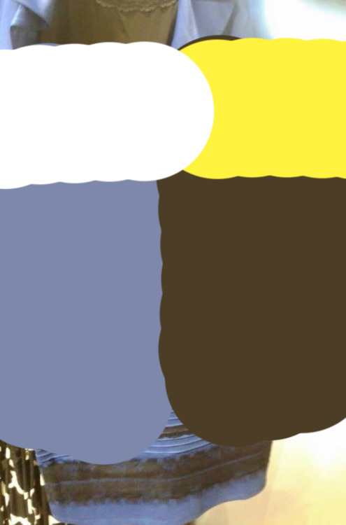 Untitled-1.png