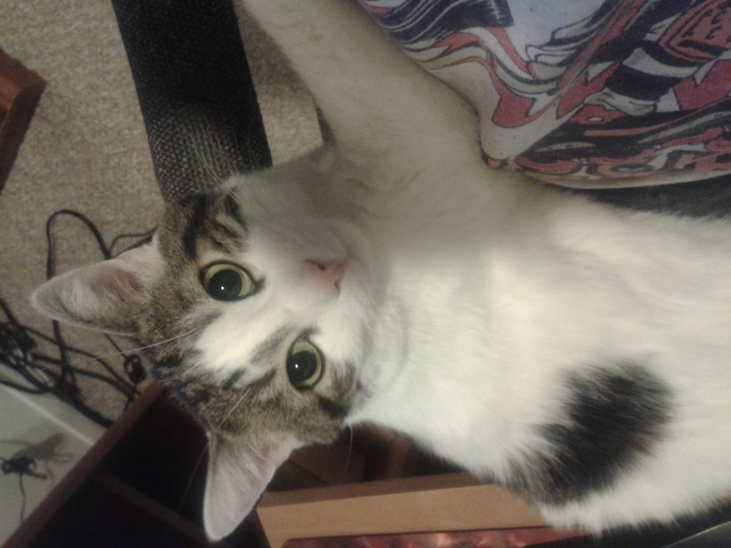 2011-12-2621.58.32.jpg