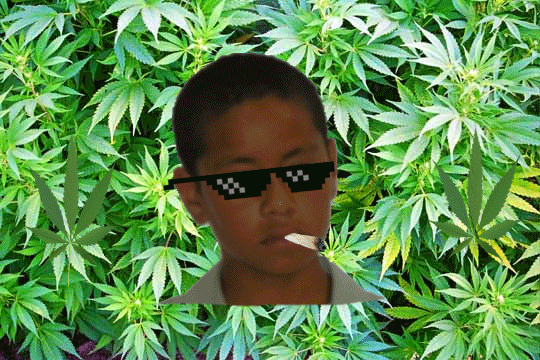 Swag