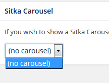 carousel.PNG