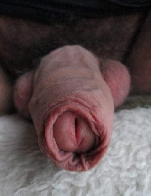 tumblr_nblr7m6pUy1rcpqqpo1_500.jpg
