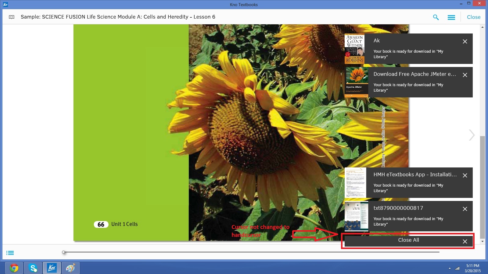 Cursor not changing to Handcursor for Close all button