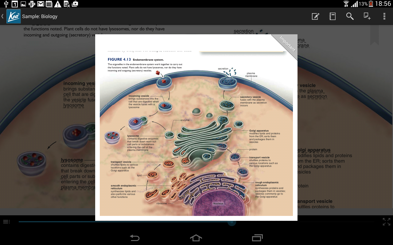 Screenshot_2015-03-20-18-56-491.png