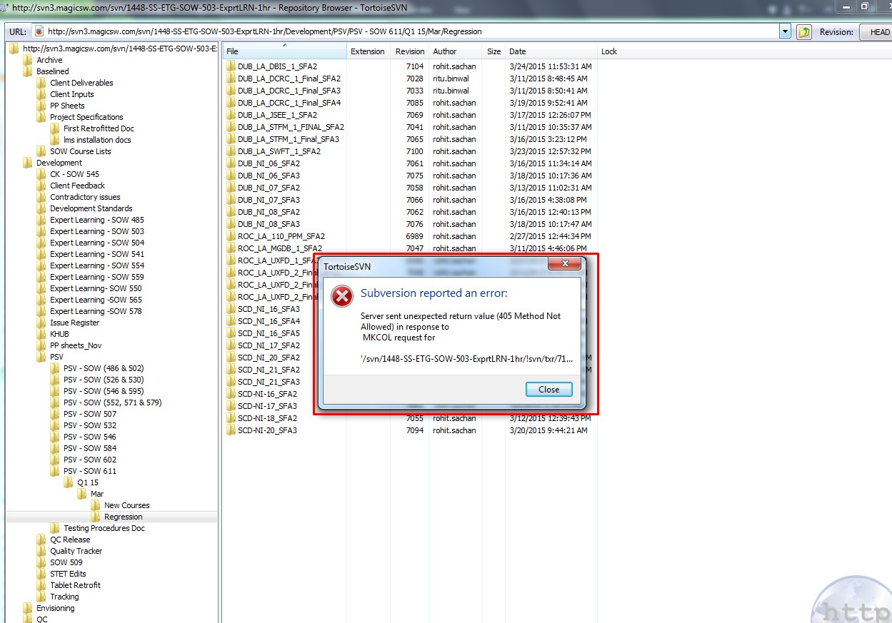 SVN Error