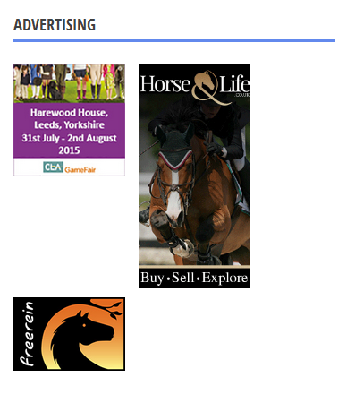 adverts.PNG