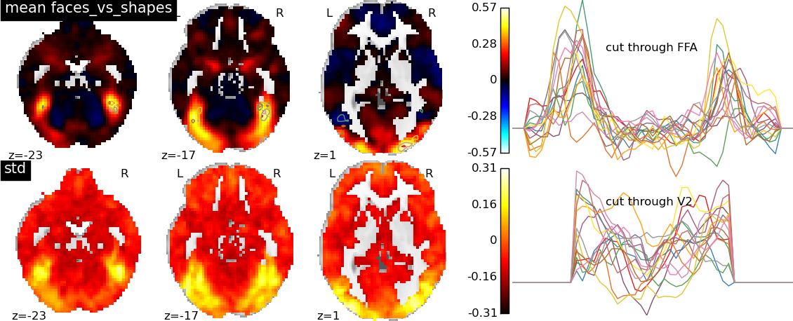 HCP_faces_vs_shapes.png
