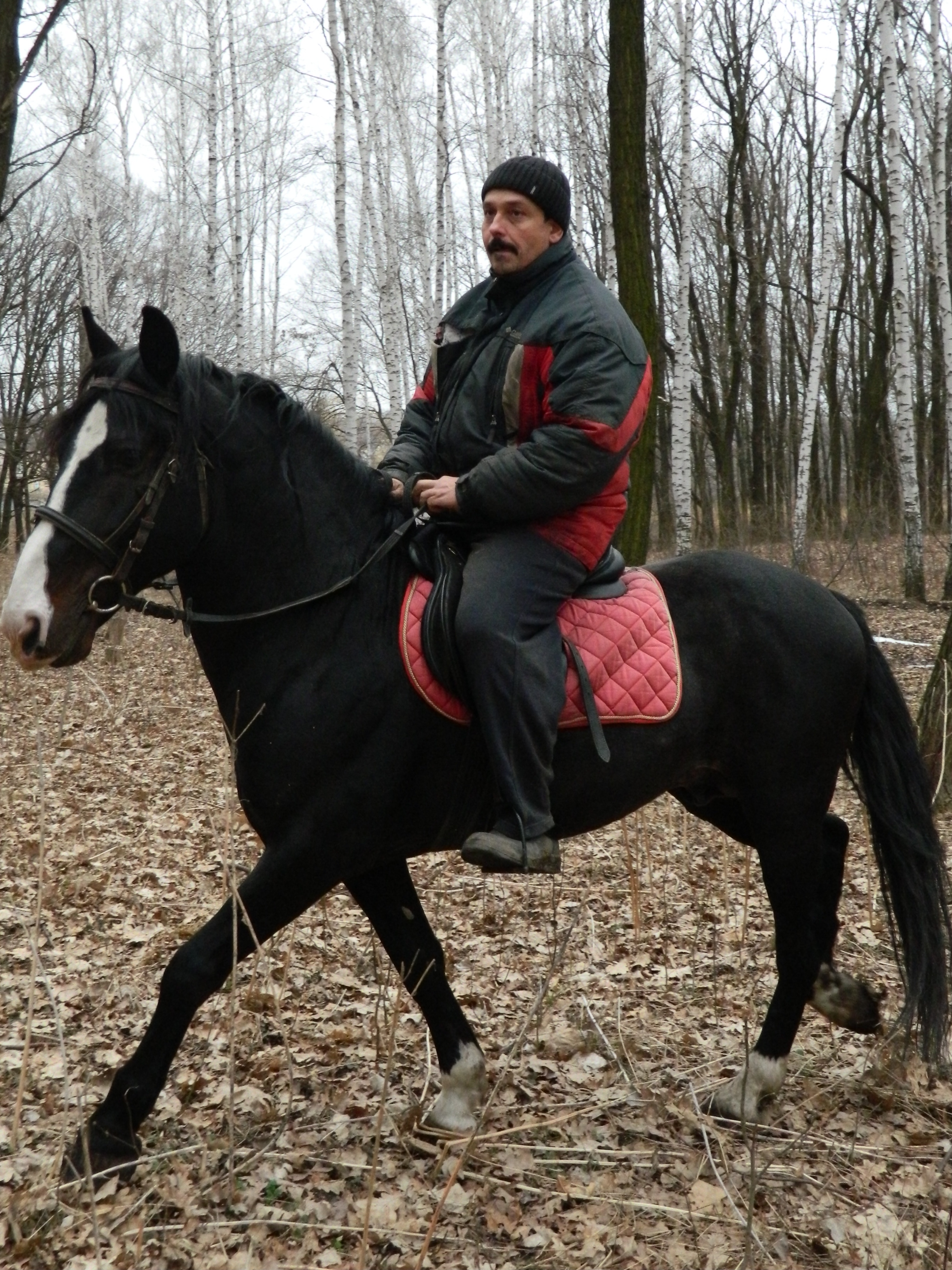 RSCN1450.JPG