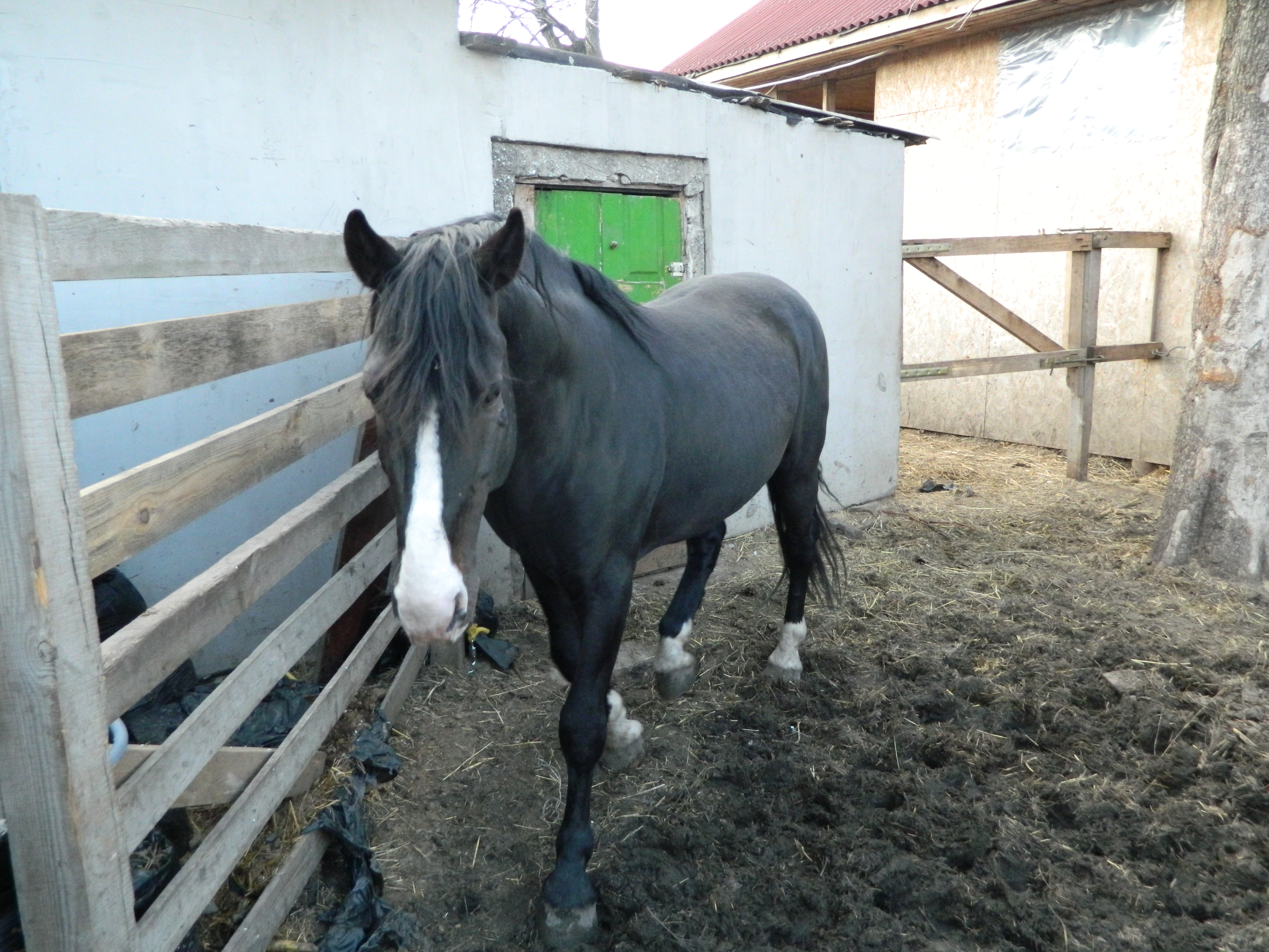 DSCN1517.JPG