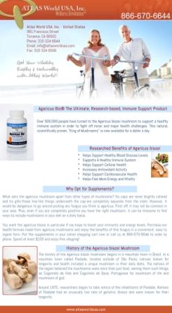 Milk thistle liver detox