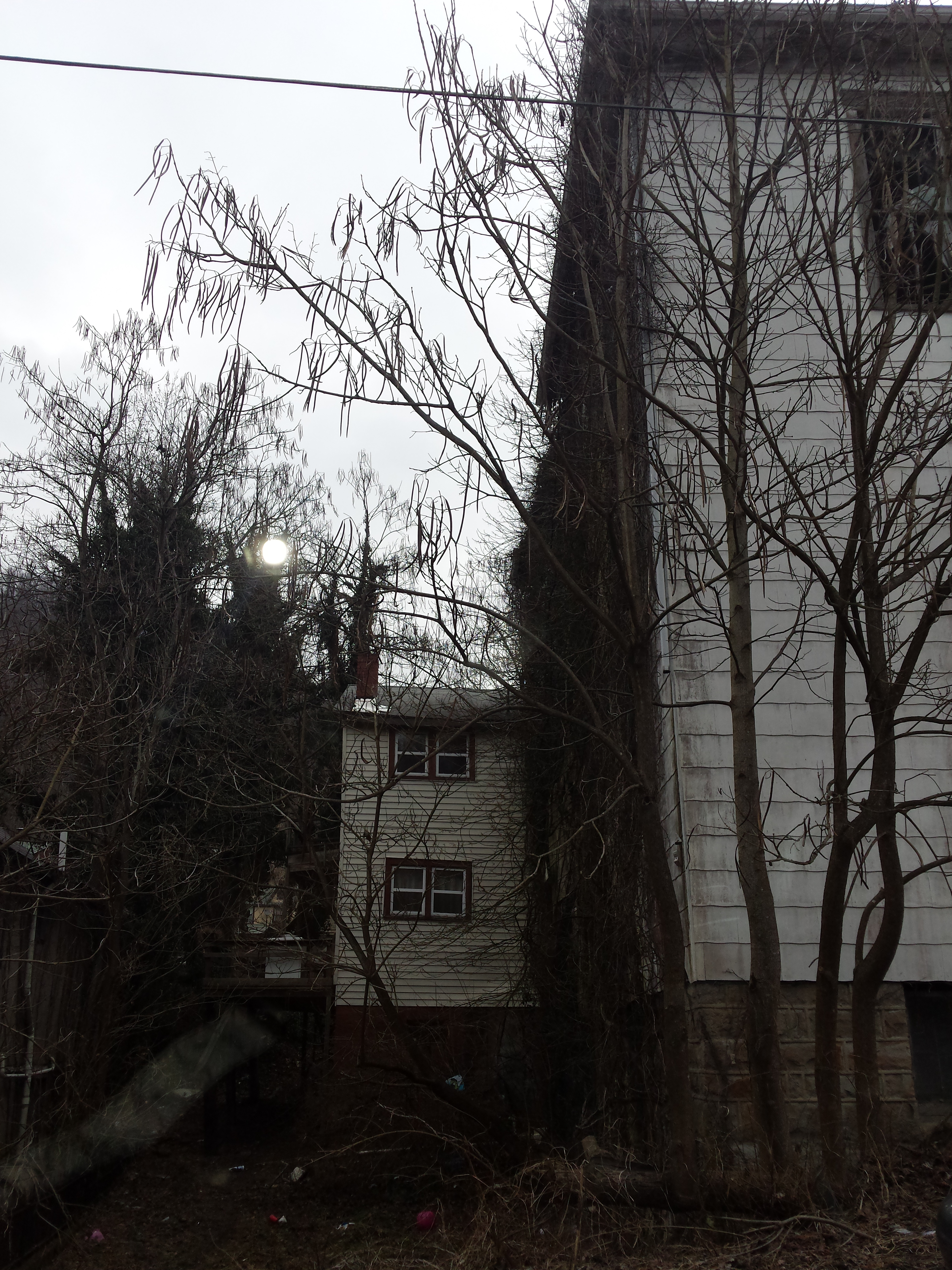 20140207_103854.jpg