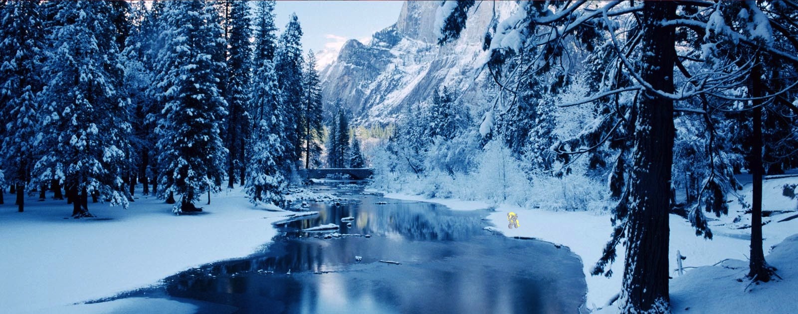 ts-78393821-natwd-1011-0101_winter_scene_1600px.jpg