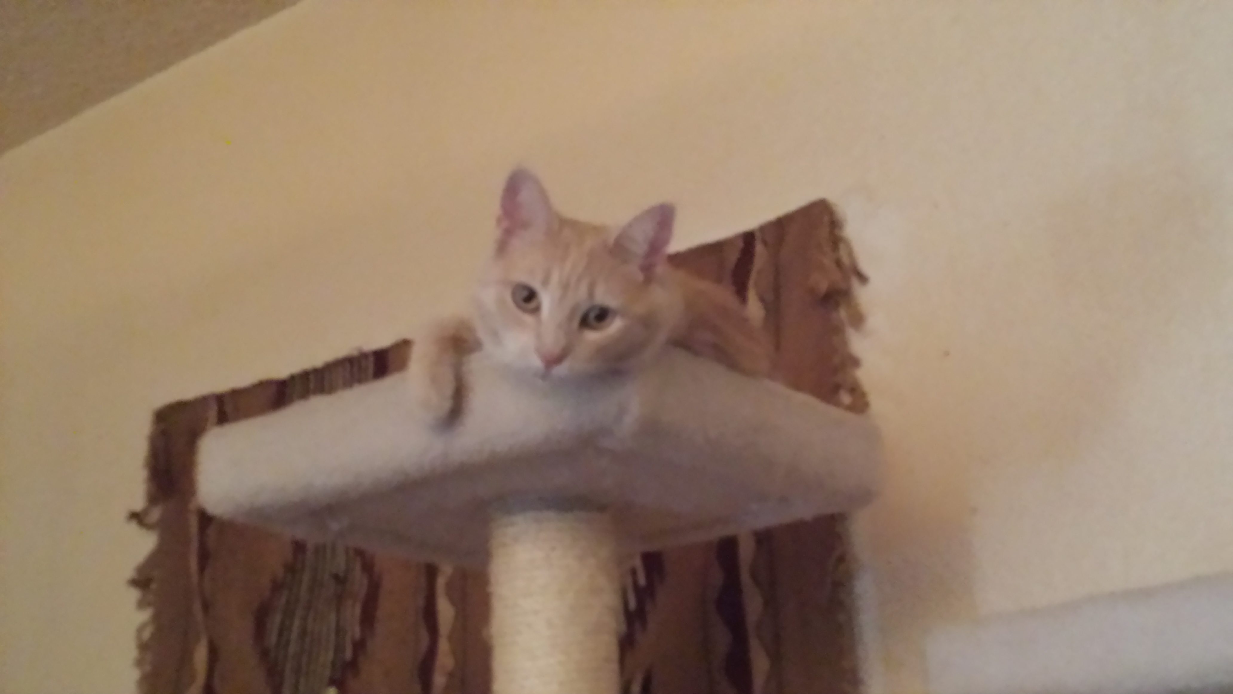 2015-01-2511.16.55.jpg
