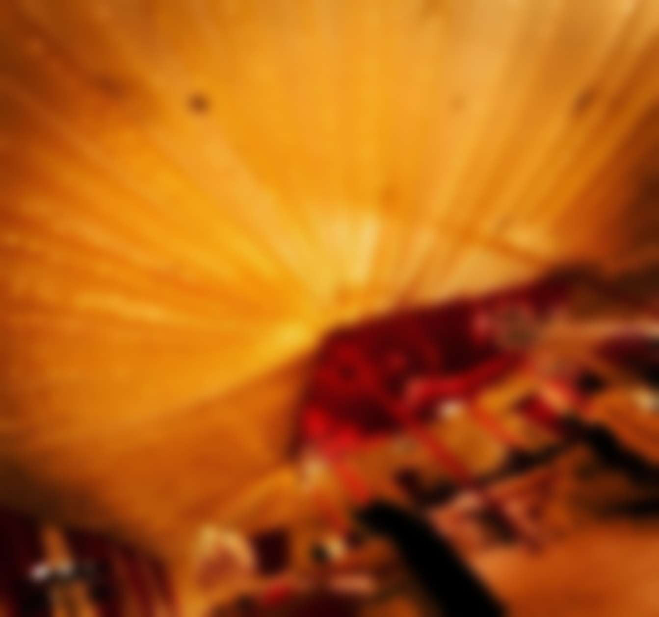FRCS-31-copy-blur.jpg