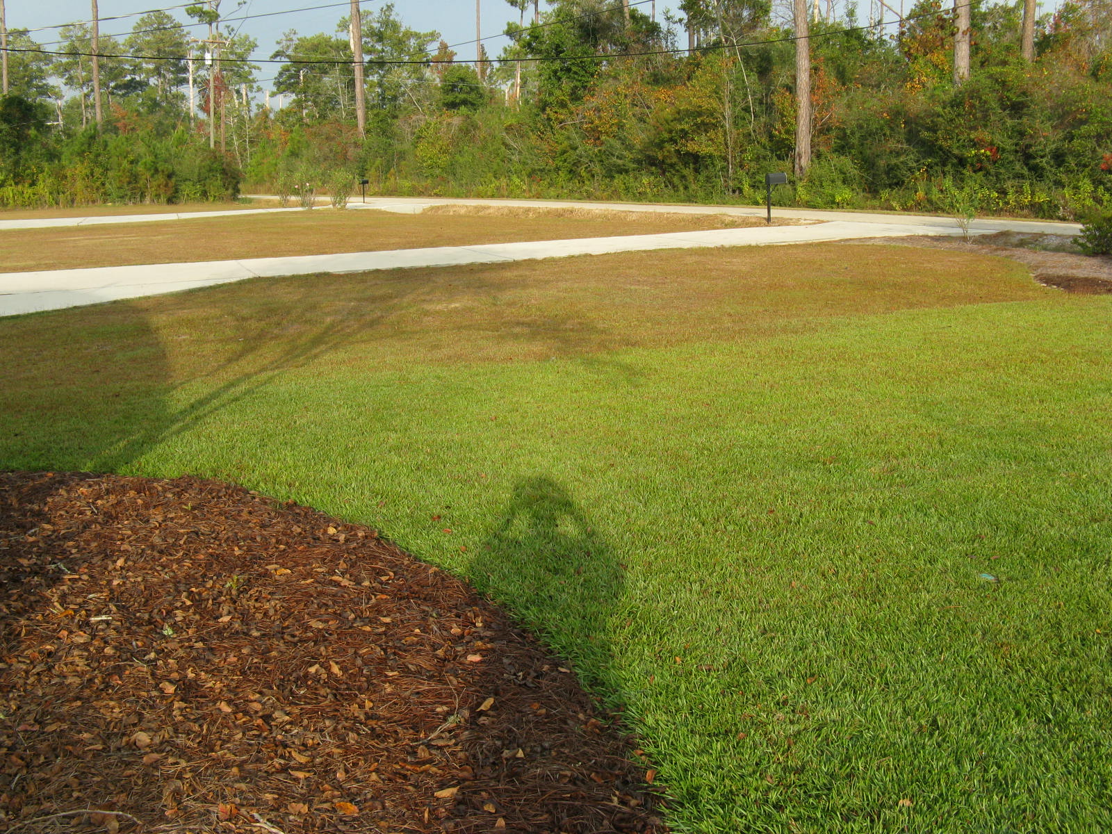 Turf