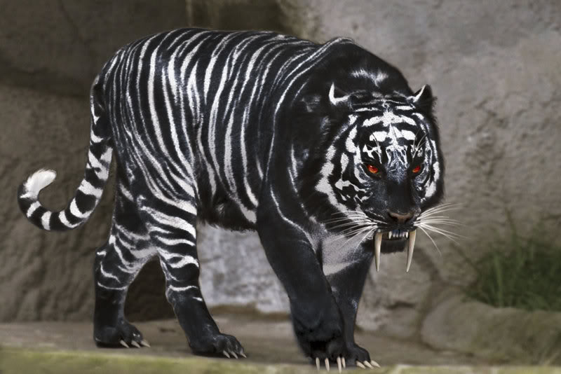 blacksaber.jpg