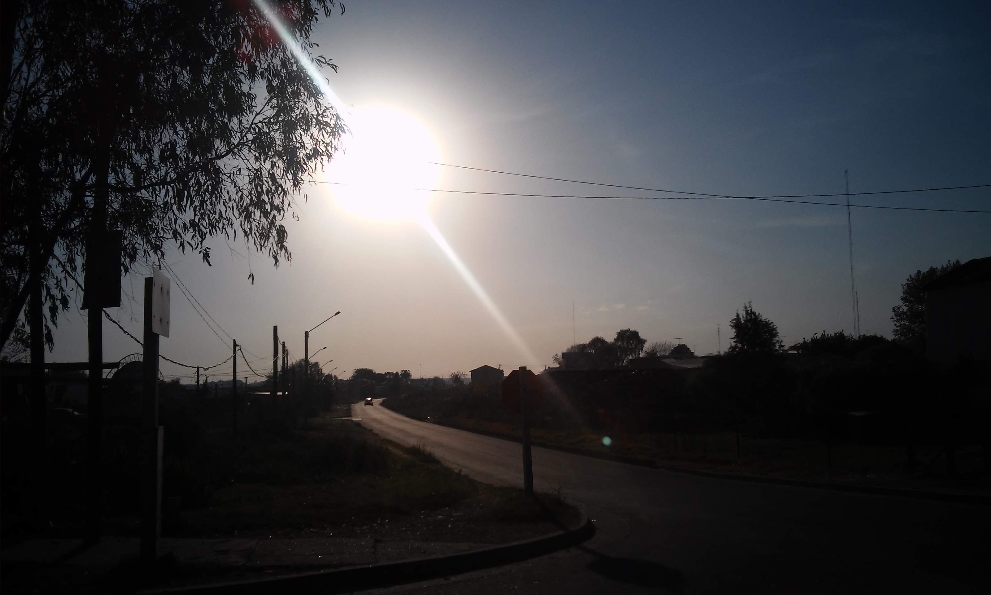 20150425_083438.jpg