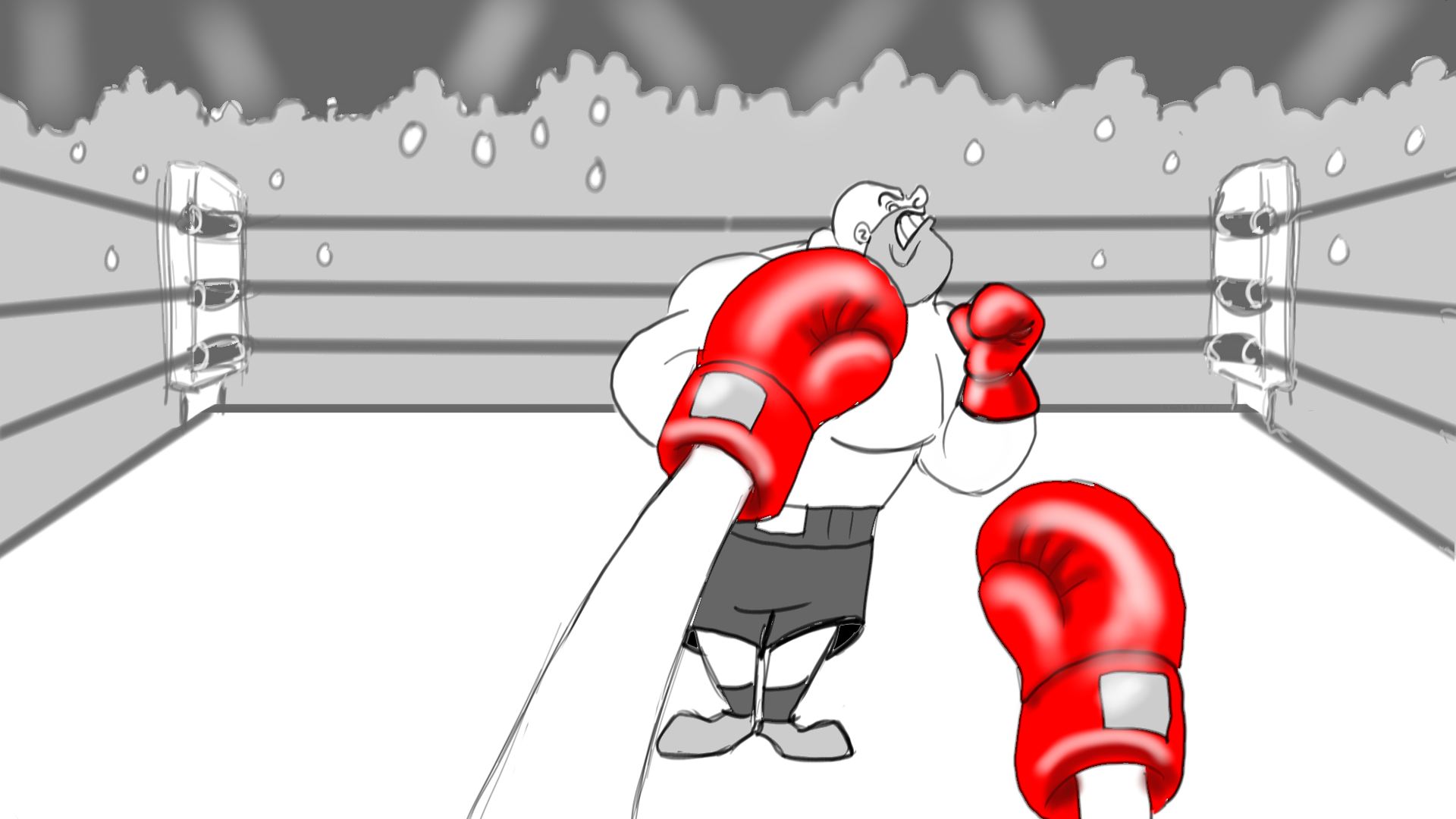 boxer3.jpg
